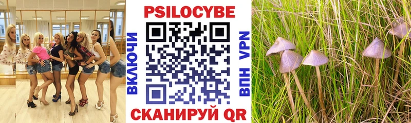 mega как зайти  Новокузнецк  Псилоцибиновые грибы мицелий 